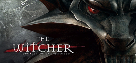 the witcher enhanced edition steam