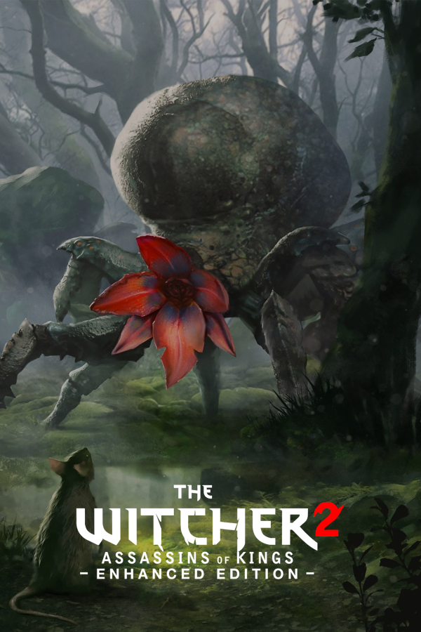 The Witcher 2: Assassins of Kings Enhanced Edition - SteamGridDB