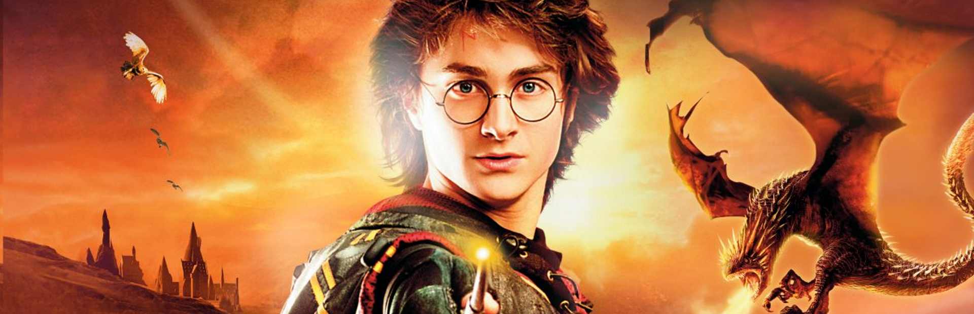 Harry Potter and the Goblet of Fire - SteamGridDB