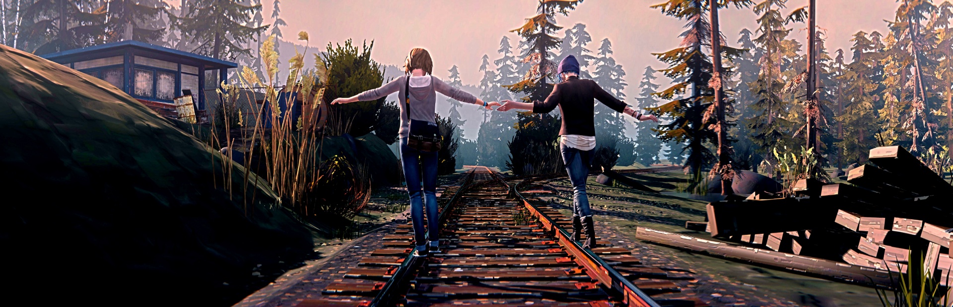 Life is strange сохранения. Life is Strange. Life is Strange оригинал. Лайф жизнь. Игра в жизни.