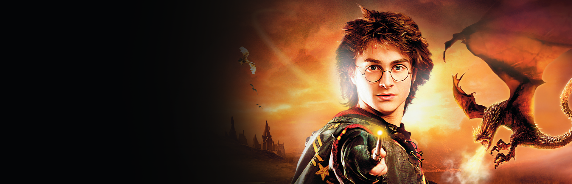 Harry Potter and the Goblet of Fire - SteamGridDB