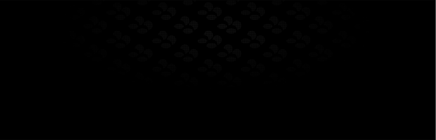 Hero for Snes9x by renniw10 - SteamGridDB