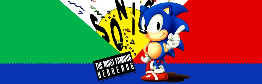 Sonic the Hedgehog Forever - SteamGridDB