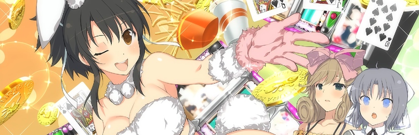 Senran Kagura: Peach Beach Splash - SteamGridDB