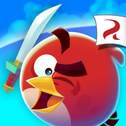 Angry birds fight