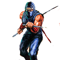 Icon for Ninja Gaiden by Belgost - SteamGridDB