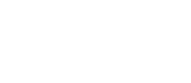 the homebrew channel download