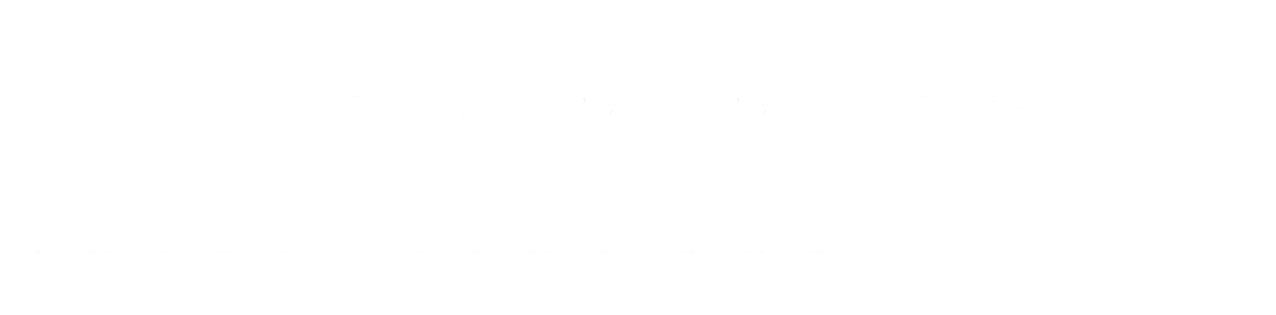 super nintendo entertainment system logo