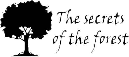 The Secrets of the Forest no Steam