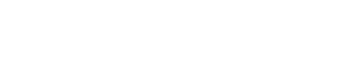 Logo for Ravenfield by Kynd - SteamGridDB