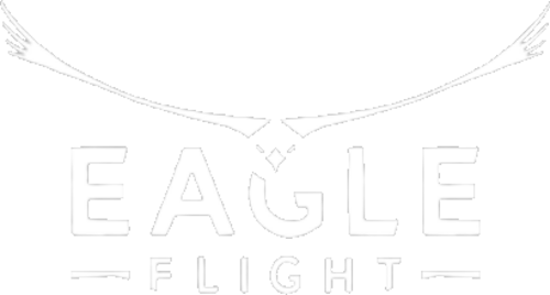 Logo for Eagle Flight by WolfBoy980 - SteamGridDB