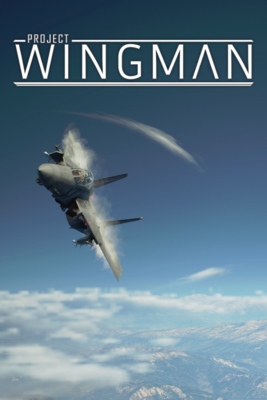 free download project wingman steam