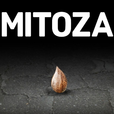 mitoza steam