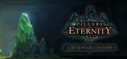 pillars of eternity hero edition vs champion edition pillars of eternity hero edition vs champion edition
