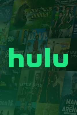 Grid for Hulu by Kokasgui - SteamGridDB