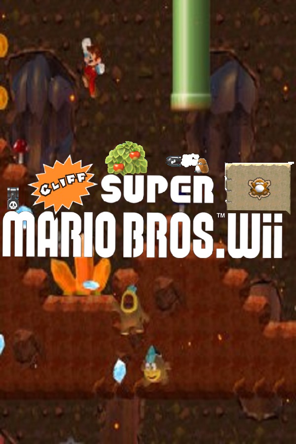 New Super Mario Bros. Wii - SteamGridDB