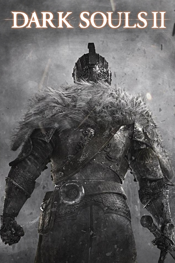 Dark Souls 2 Video Game Poster -  Sweden