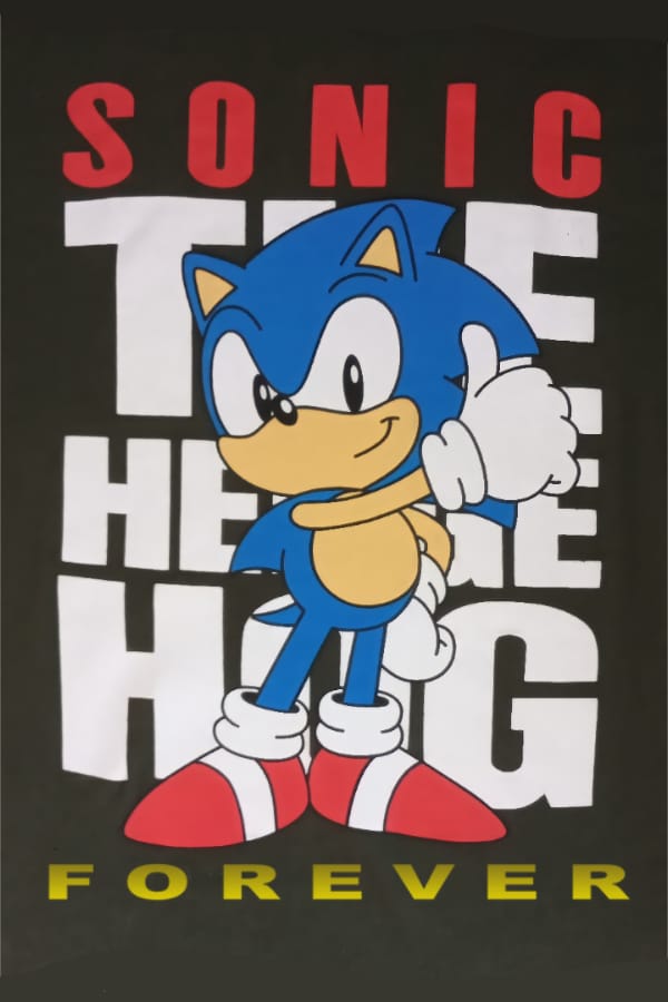 Sonic the Hedgehog Forever - SteamGridDB