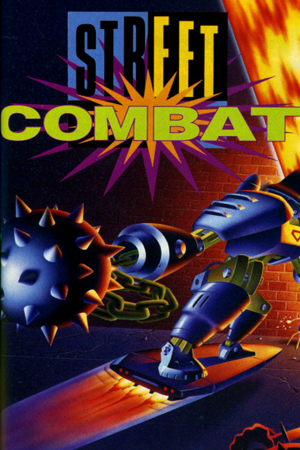 Street Combat: Ultimate MMA Fighters