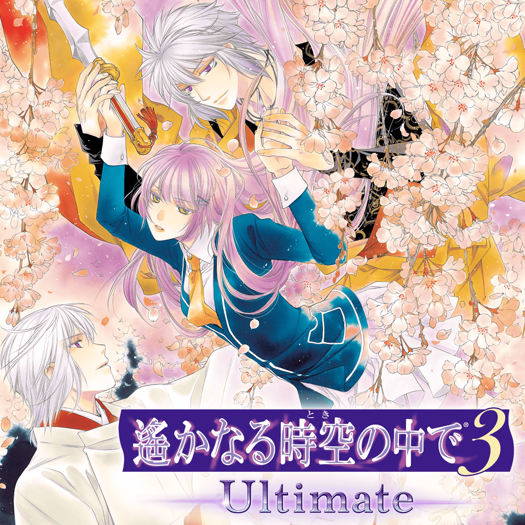 Harukanaru Toki no Naka De 3: Unmei no Labyrinth Aizouban