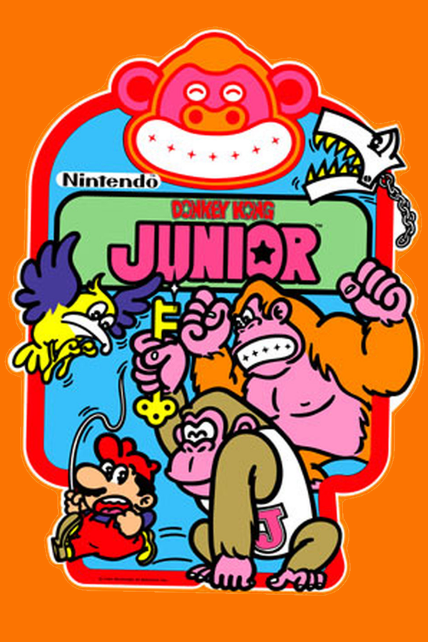 Donkey Kong Junior