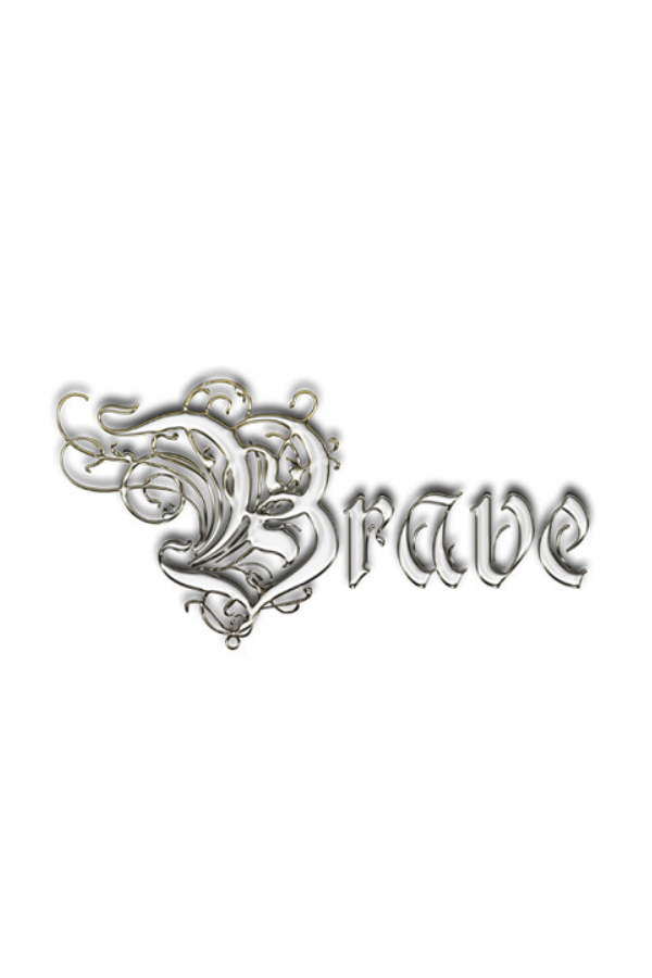 Brave Arms
