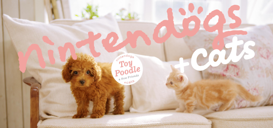 Nintendogs + Cats: Toy Poodle & New Friends