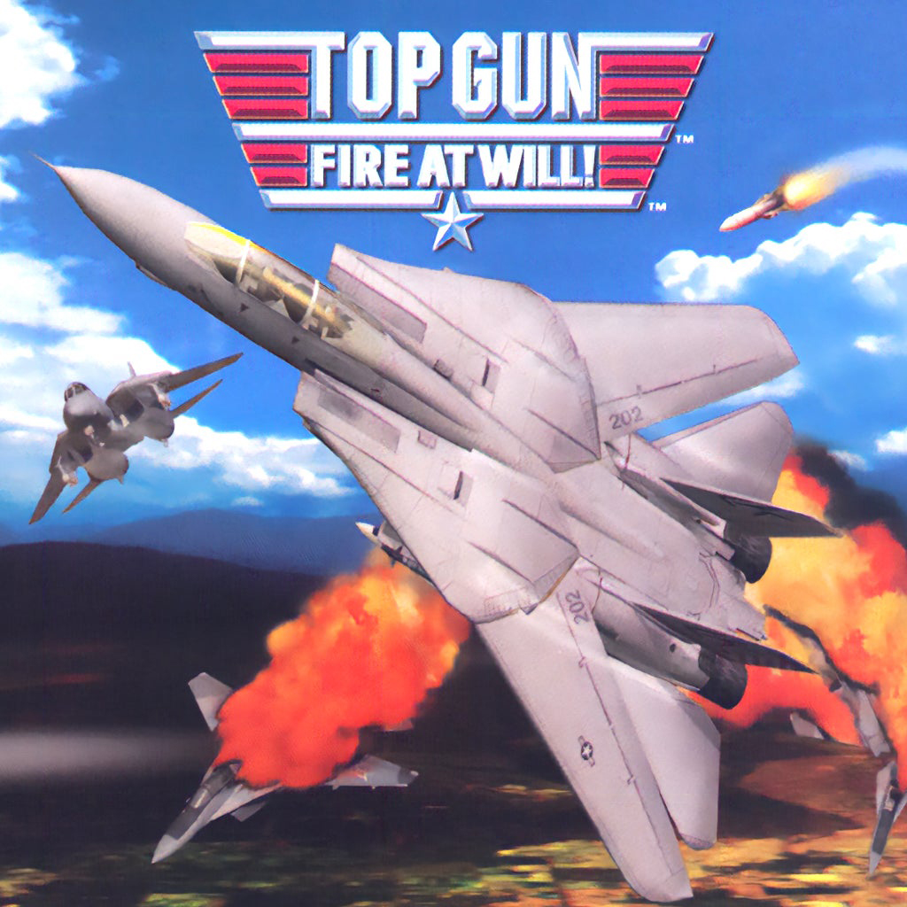 Top Gun: Fire At Will