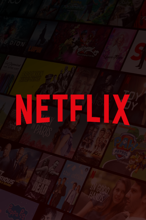 Netflix Puzzled