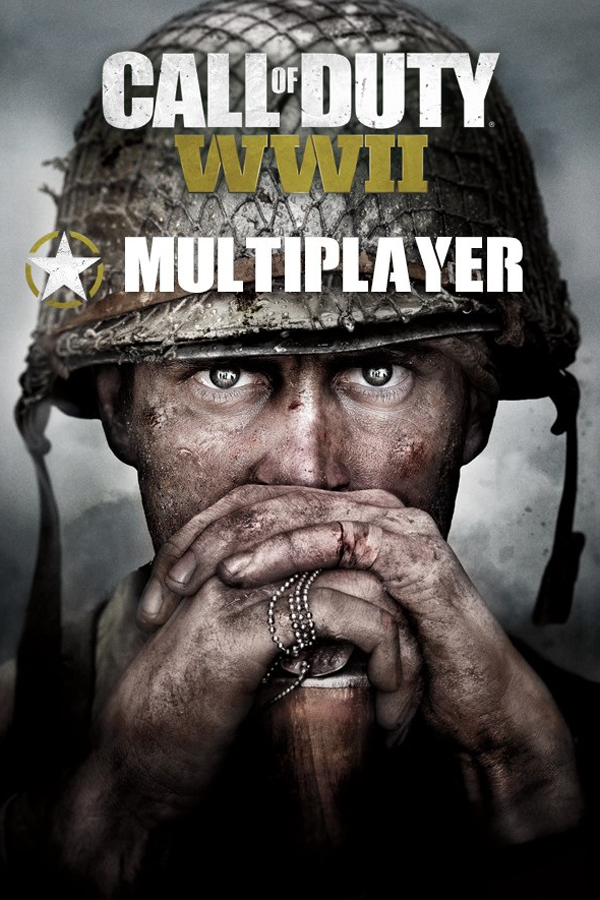 Steam Game Covers: Call of Duty: WWII Box Art