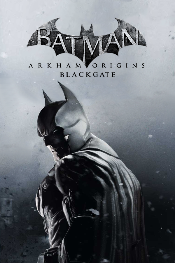 Batman: Arkham Origins Blackgate [Printed Cover] *Pre-Owned* – VGC LLC