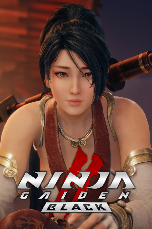 NINJA GAIDEN 2 Black SteamGridDB
