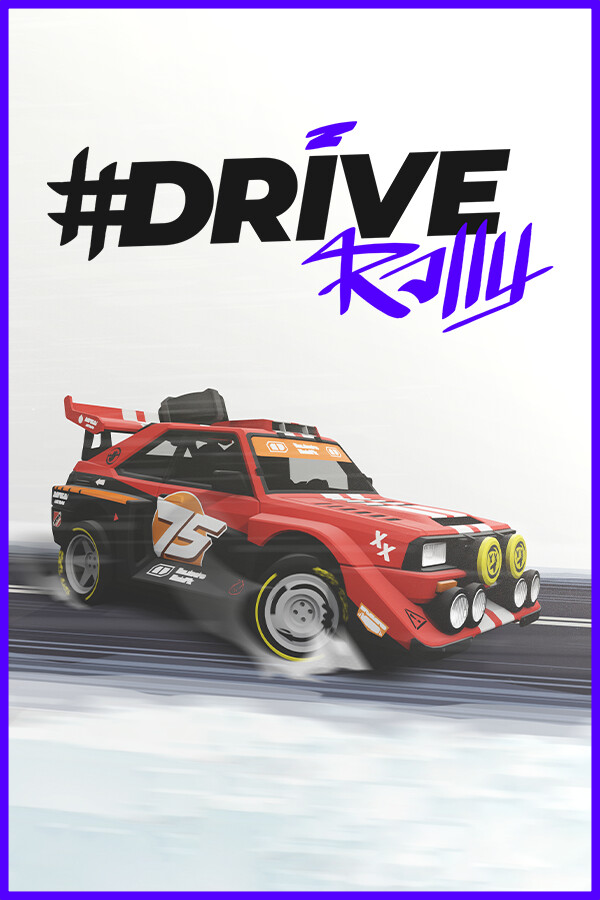 Rally Driver