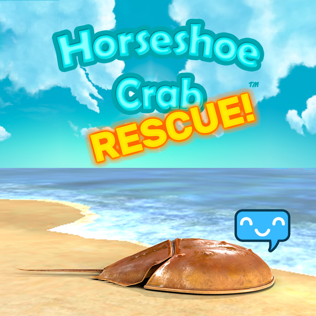 Horseshoe Crab Rescue!