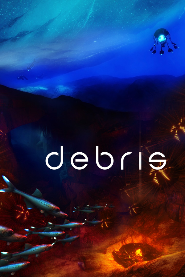 Debris