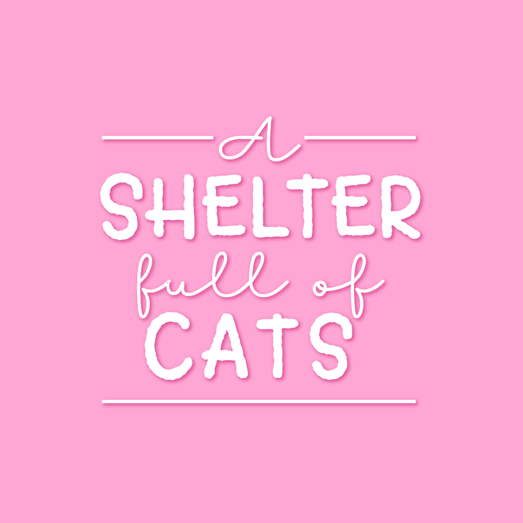 A Shelter Full of Cats