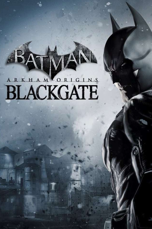 Batman: Arkham Origins - SteamGridDB