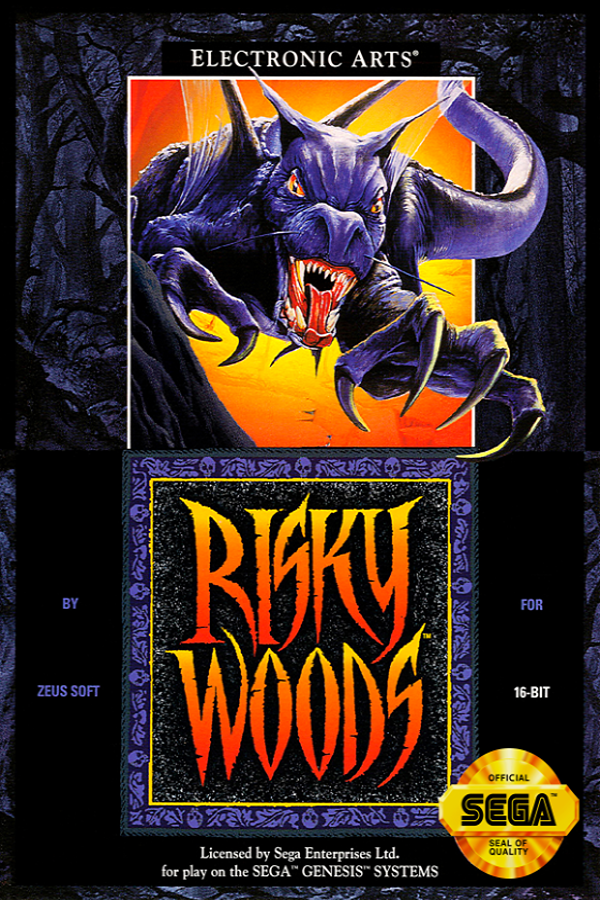 Risky Woods for Sega Genesis