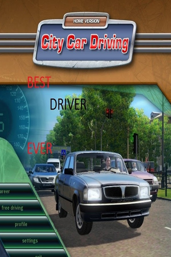 City Car Driving on Steam