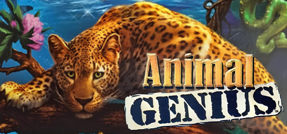 Animal Genius