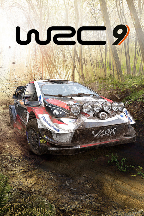 WRC 9 FIA World Rally Championship