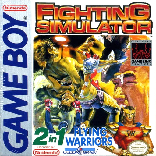Fighting Simulator: 2 in 1 Flying Warriors