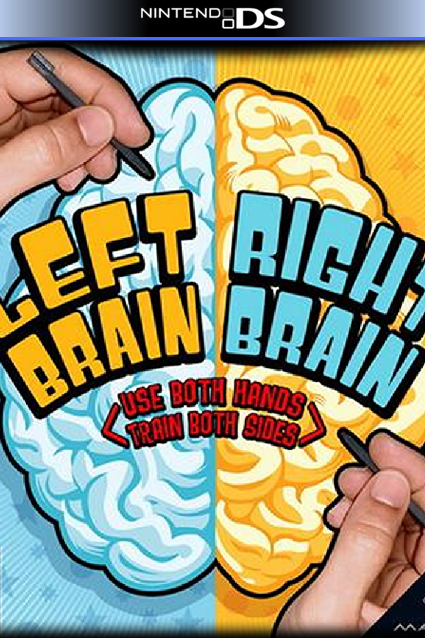 Left Brain Right Brain