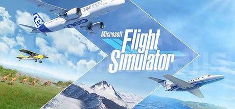 Microsoft Flight Simulator X: Steam Edition - SteamGridDB