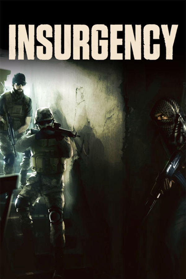 Insurgency