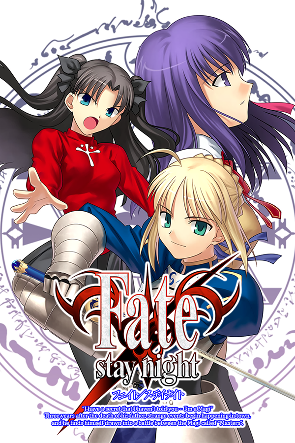Fate Stay Night Limited Edition Game Windows PC TYPE MOON