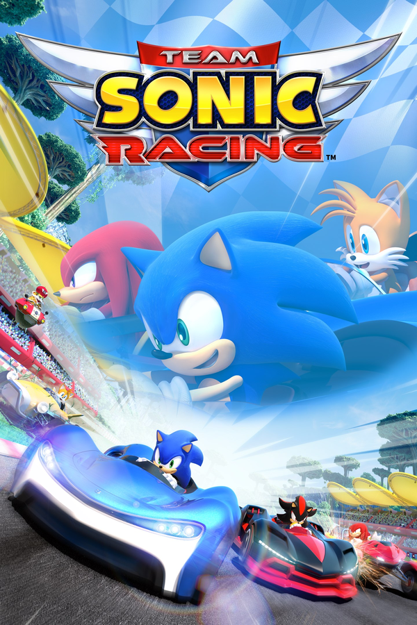 Team Sonic Racing™ on Steam