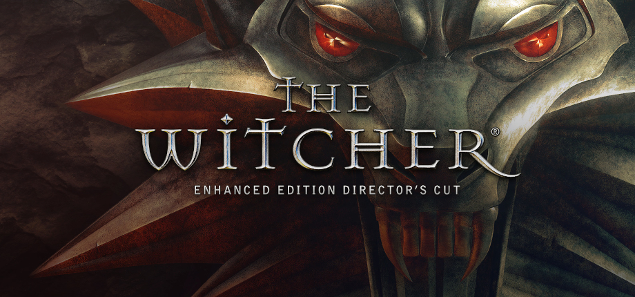 The Witcher: Enhanced Edition - SteamGridDB