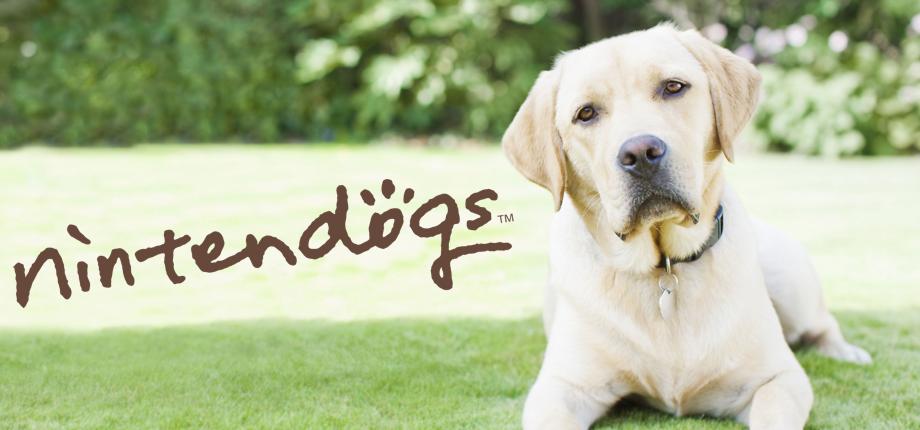 Nintendogs: Labrador & Friends