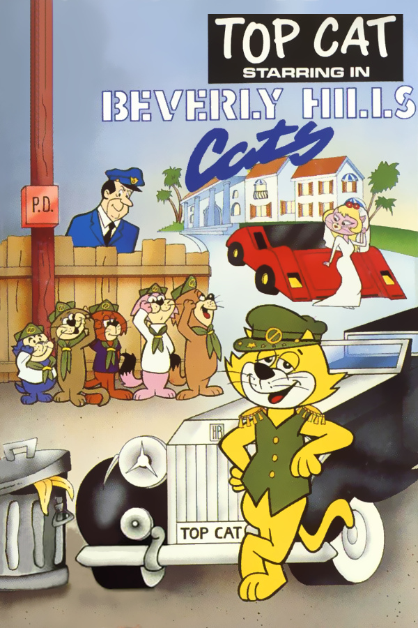 Top Cat in Beverly Hills Cats